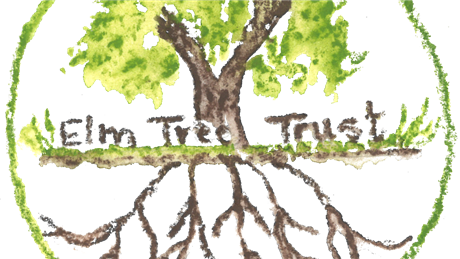 Banner Picture